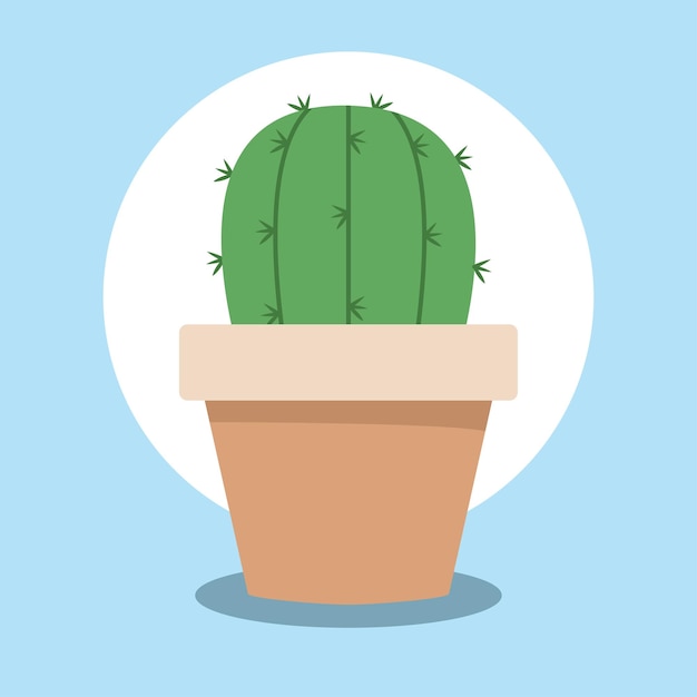 Cactus in pot Vector illustration