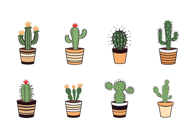 Cactus in pot vector set in flat cartoon style