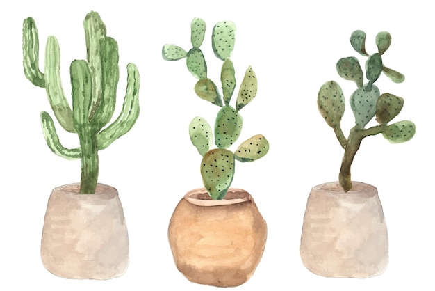 Cactus in pot watercolor collection set