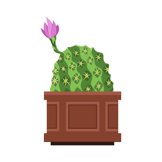 Vector cactus in pot