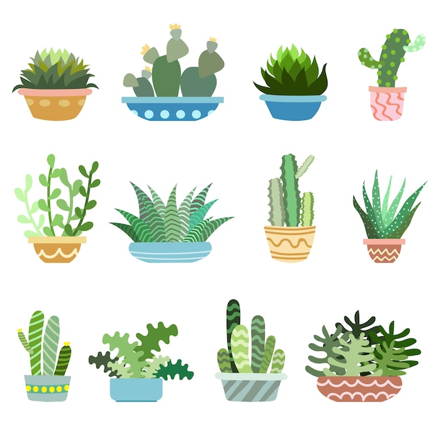 Cactus in pots vector set