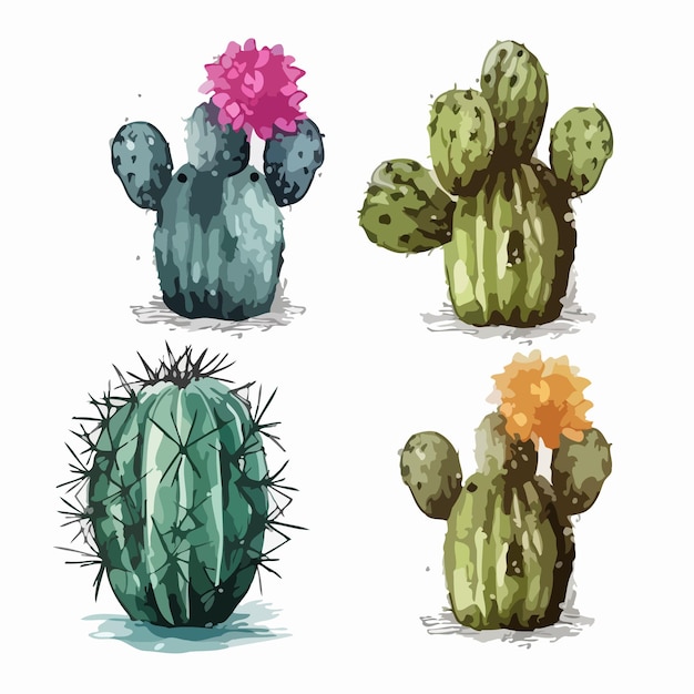 Cactus set Cactus watercolor painting package