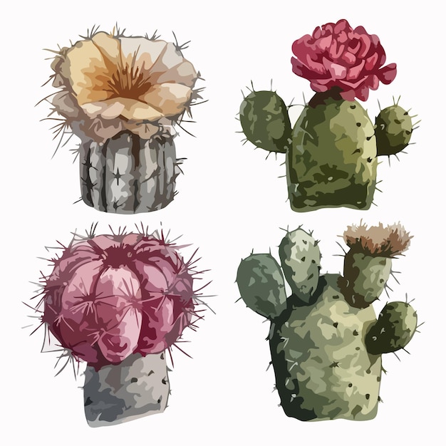 Cactus set Cactus watercolor painting package