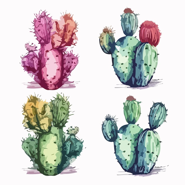 Insieme del cactus pacchetto della pittura dell'acquerello del cactus