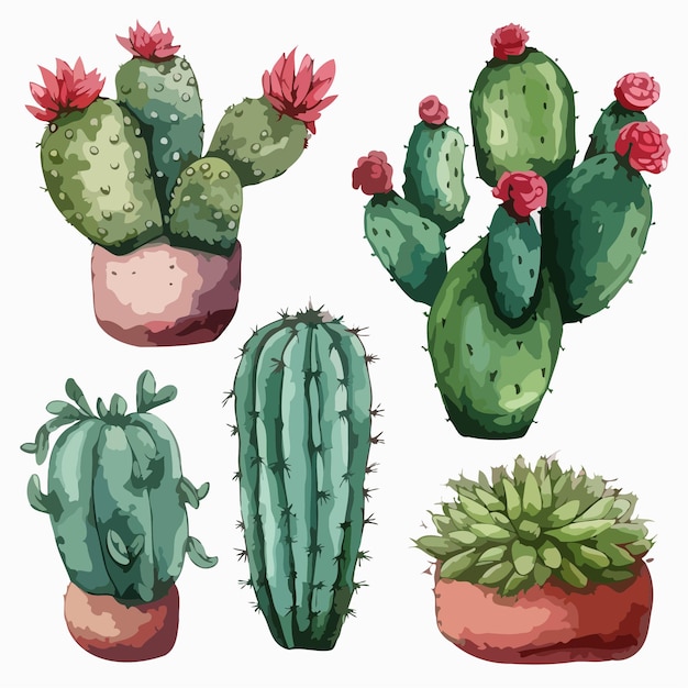 Cactus set Cactus watercolor painting package