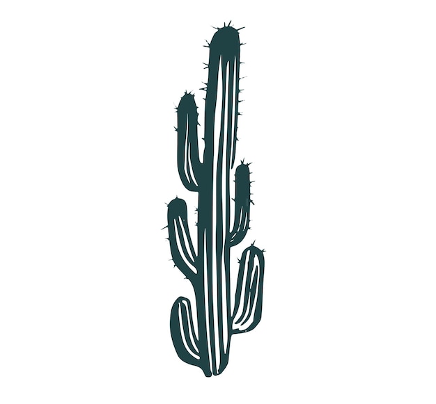 Cactus imposta illustrazioni disegnate a mano, vettore