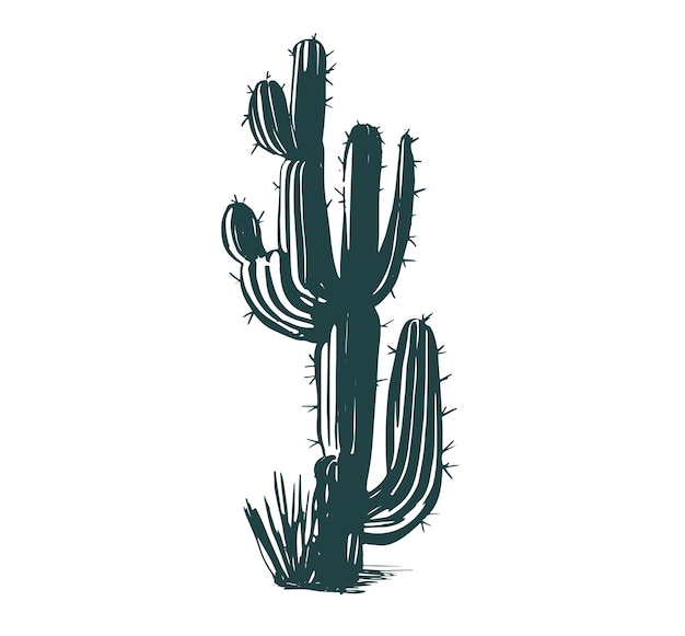 Cactus set hand getekende illustraties, vector