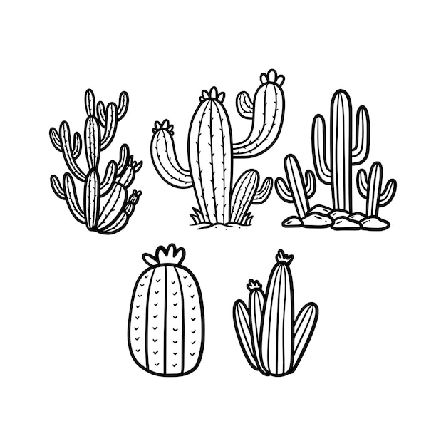 cactus set line art doodle hand drawn on white background vector illustration