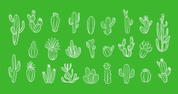 Cactus set met bloemen op groene achtergrond. Hand getekende illustratie in doodle stijl. Vector