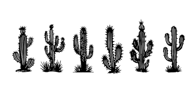 Cactus set met de hand getekende illustraties vector
