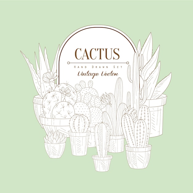 Cactus set vintage vector hand drawn design card