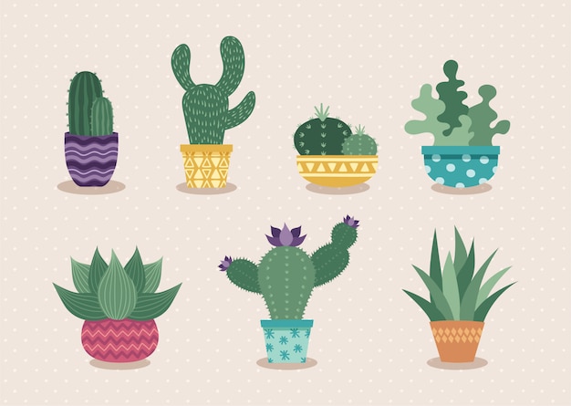 Cactus set