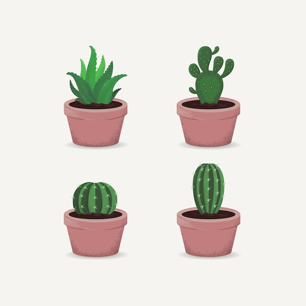 Cactus Set