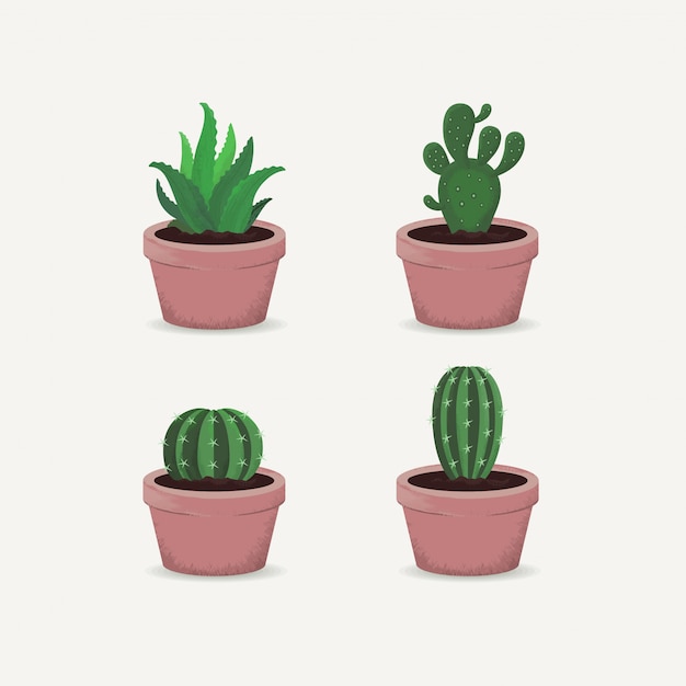 Cactus set