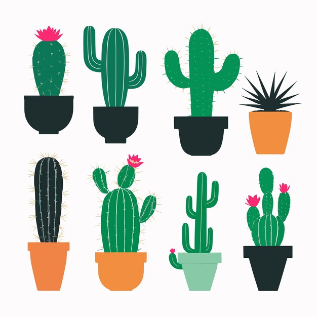 Cactus silhouette set cacti collection vector illustration flat design