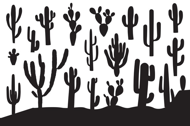 Cactus silhouette