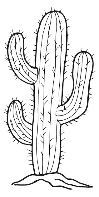 Cactus sketch Desert plant with sharp thorns