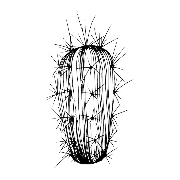 Vettore schizzo di cactus per il logo tatuaggio di piante grasse floreali molto dettagliato in stile line art