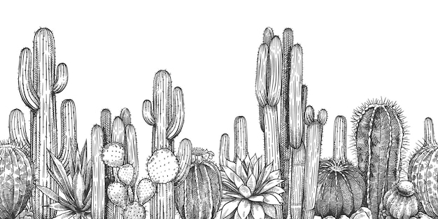 Telaio di schizzi di cactus