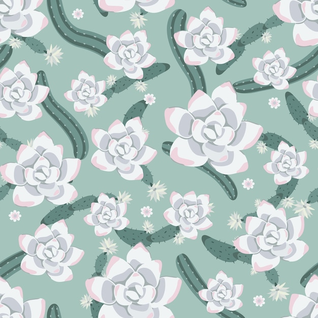 Vector cactus and succulent flowers patterns background