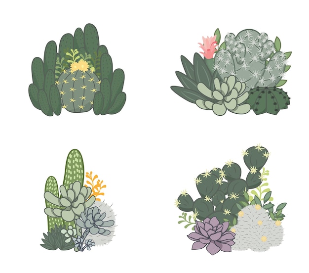 Vector cactus and succulent gardening collection. it is a simple garden style.