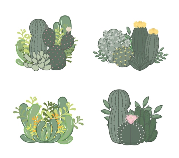 Cactus and succulent gardening collection. it is a simple garden style.