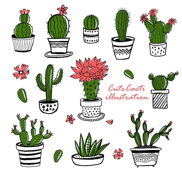 Cactus and succulent hand drawn set in sketch style. doodle colors flowers in pots.   colorful cute house interior plants.