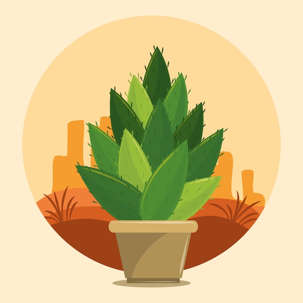 Vector cactus succulent pot on desertscape