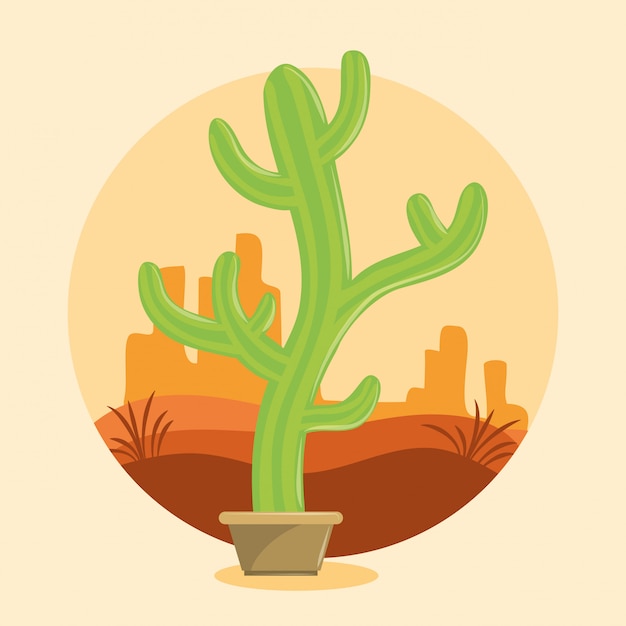 Vector cactus succulent pot on desertscape