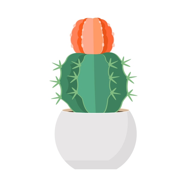 Vettore cactus e succulente in vaso domestico illustrazione vettoriale colorata di cartoni animati pianta da fiore decorativa cactus icona isolata