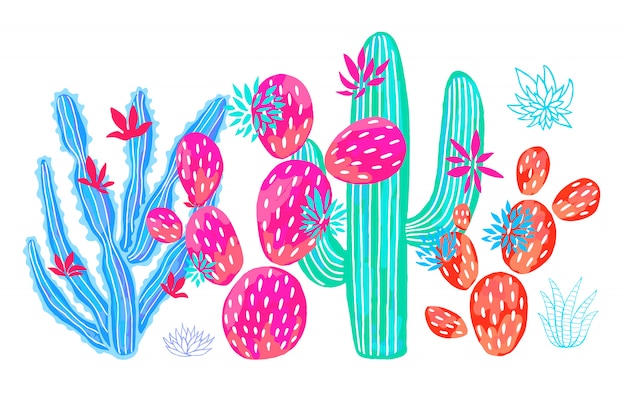 Cactus succulent wild set flowers colorful watercolor pink collections.