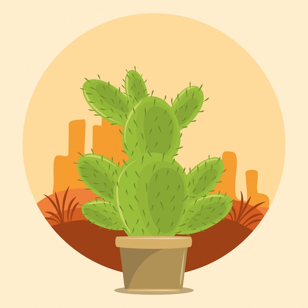 Cactus succulente pot op desertscape