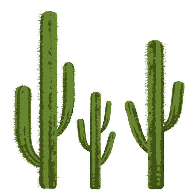 Векторный дизайн пустынных растений кактуса