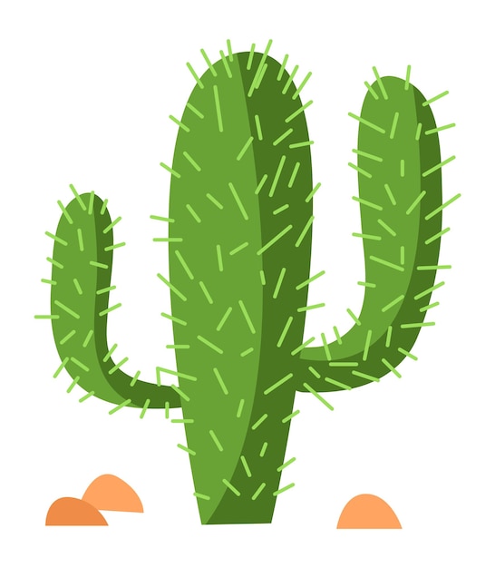 Cactus in trendy hand drawn style. Cute green succulent isolated on white background