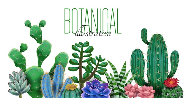 Cactus variety with editable text isolated illustration