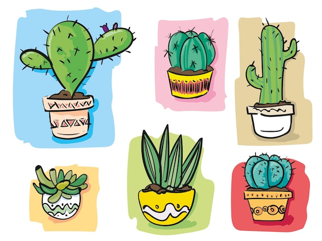 Cactus vector illustratie