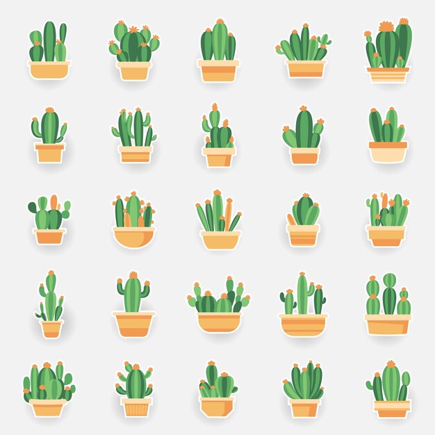 Vettore illustrazione vettoriale del cactus su sfondo bianco contiene come una pianta succulenta del deserto