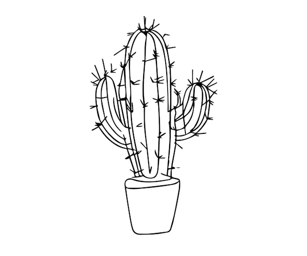 Vector cactus vector illustration