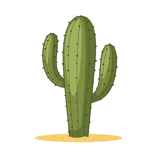 Cactus PNG, Vector, PSD, and Clipart With Transparent Background for Free  Download