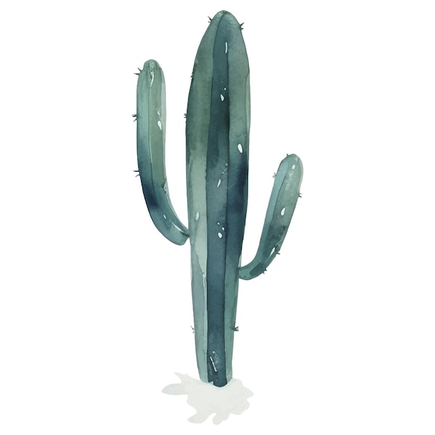 Cactus waterverf illustratie Succulent en cactus prints elementen