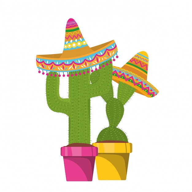 Кактус с горшком и иконой мексиканской шляпы