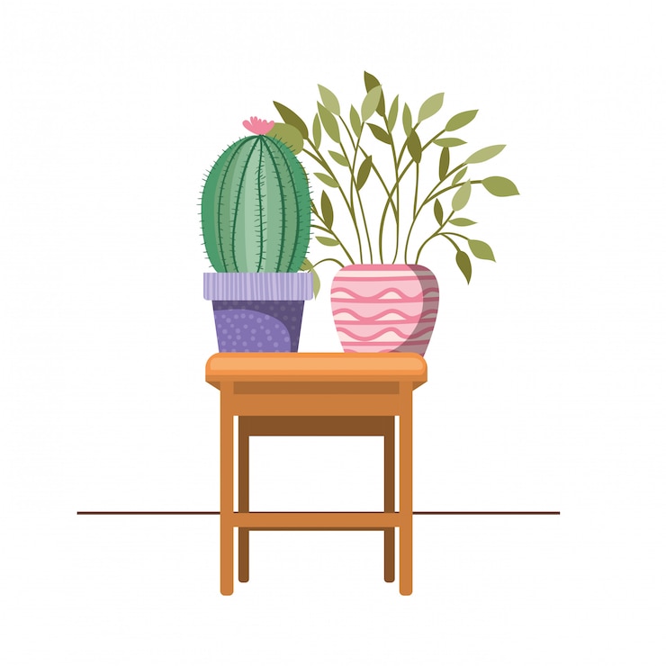 Vector cactus with potted on the table icon