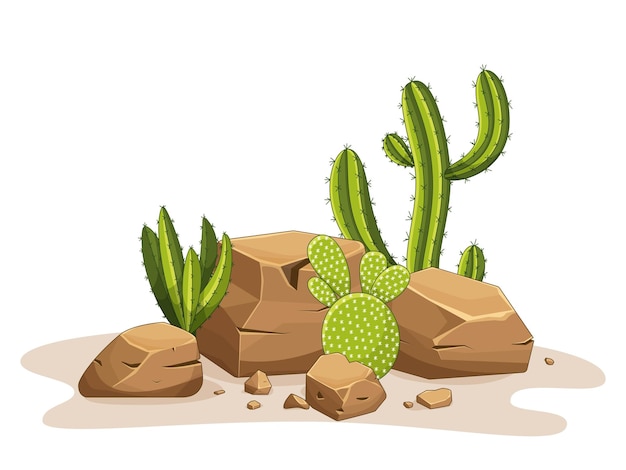 Vector cactus with thorns and stones mexican green plant with spines and rocks element of the desert and southern landscape cartoon flat vector illustration isolated on white background