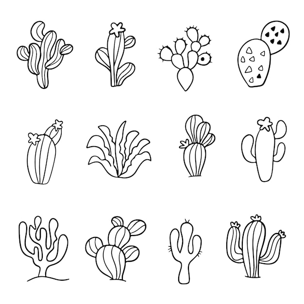 Vector cactus