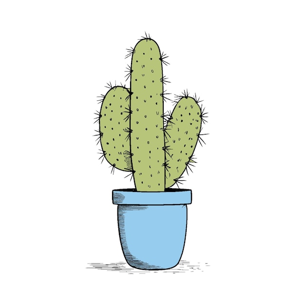 cactus