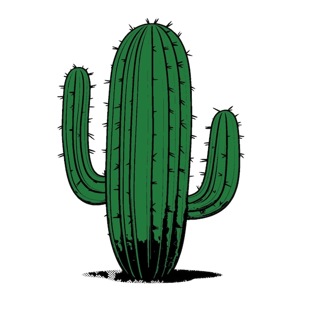 Vector cactus