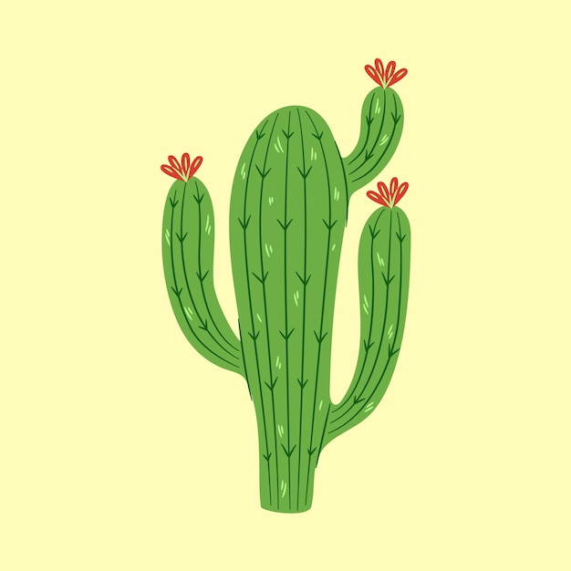 Vector cactus