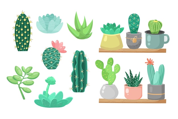 Vector cactuses and aloe in flower pots cartoon illustration set. desert plants or home plants on shelves, arizona succulents isolated on white background. nature, blossom, flora concept