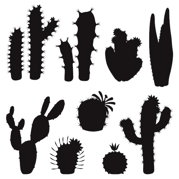 Cactuses cactus flower collection exotic summer isolated Vectors Silhouettes