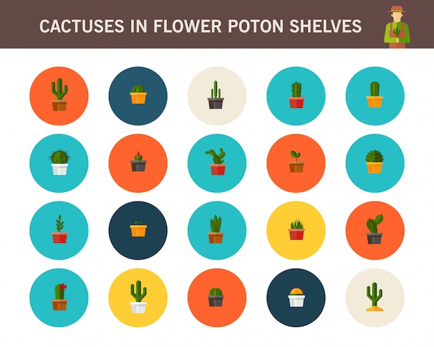 Cactus in vaso di fiori sulle icone piane di concetto di scaffali.